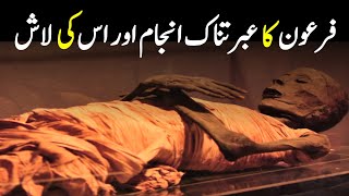 Mysteries Facts About Pharaohs Mummy  فرعون کی لاش  Firon Ka Waqia  INFOADIL [upl. by Aytac]