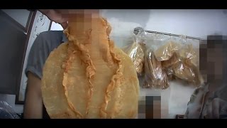 Understanding the Illegal Totoaba Market in Mexico [upl. by Magavern]