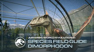 Species Field Guide  Dimorphodon  Jurassic World Evolution 2 [upl. by Eiramyelhsa]