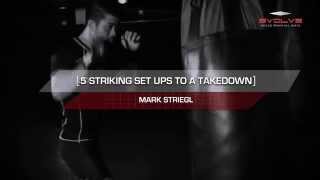 MMA 5 MMA StrikingtoTakedown Combinations  Evolve University [upl. by Finnegan670]