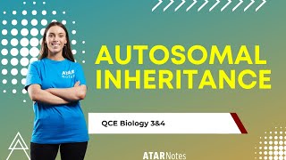 Austomal Inheritance  QCE Biology 3amp4 [upl. by Arais383]