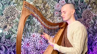 Celestial Dreams Harp Meditation  Relax Unwind amp Sleep Peacefully  Healing Frequency Celtic Harp [upl. by Eixirt]