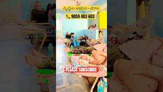 వృద్దుల ఆశ్రమం చీరాల Call 9059 403 603 shorts subscribe latest ytshorts trending viralvideo [upl. by Sulokcin199]