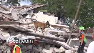 Terremoto Pescara del Tronto i cani molecolari tra le macerie [upl. by Clyte773]