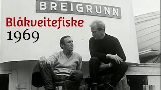 Bankene utenfor Med Breigunn på blåkveitefiske  1969 [upl. by Asyral347]