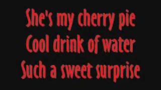 Warrant  Cherry Pie with lyrics [upl. by Roinuj]