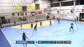 VITTORIA A TAVOLINO PER LA HANDBALL ERICE [upl. by Chouest]