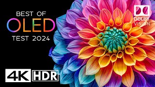 OLED TEST 2024  4K HDR Video ULTRA HD 60FPS  DOLBY VISION [upl. by Airotkciv]