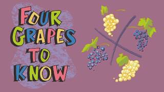 Explaining Wines from Spain 4 Grapes to Know [upl. by Isidora]