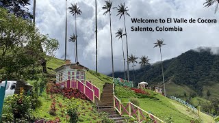 Valle de Cocora  Cocora Valley  Salento Quindio Colombia [upl. by Recnal]