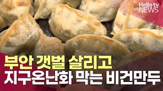 부안 갯벌 살리는 비건 만두…quot맛있어요quotㅣ헬로tv뉴스 [upl. by Annodam]