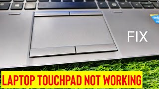 Fix Laptop Touchpad Not Working  Mouse Pointer Not Moving [upl. by Barton]