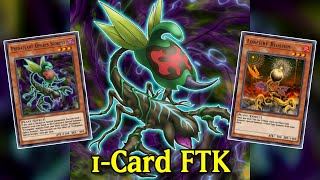 1Card Combo Predaplant Ophrys Scorpio 1Card and cost FTK YuGiOh Duel Links [upl. by Stauffer]