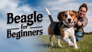 Beagle for Beginners Ultimate Guide to Care Training and Fun Facts  Top Tips and Tricks [upl. by Torras]