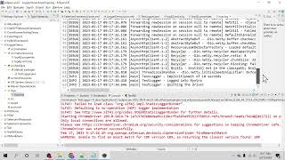 Log4j2 logging in Selenium Java Framework using Log4j2 Properties amp Log4j2 xml [upl. by Amaso]