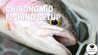 Chironomid Fishing Setup for Fly Fishing Stillwaters 2021 [upl. by Henrique]