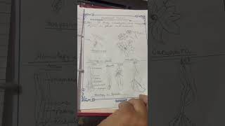 To study homologous and analogous organ in plants and animals class 12 biology practical [upl. by Irim]