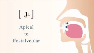 ɹ̠˔  voiced apical postalveolar non sibilant fricative [upl. by Shih]