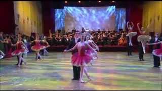 Ausschnitte Ballett amp Akrobatik vom Semperopernball 2006  2014 [upl. by Raphael]