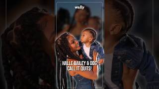 Halle Bailey amp DDG BREAK UP After 2 Years Together amp Welcoming Their Son [upl. by Schuster]