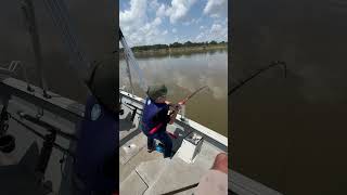 Tough life as a kid paddlefish fishing seaark [upl. by Orelle]