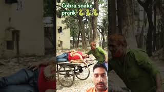 funny snake prank laughing cobra koushal fun shorts [upl. by Yaluz413]