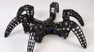 MXPhoenix hexapod robot terrain test [upl. by Nommad]