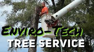 EnviroTech Tree and Landscape Service  Lake County Florida [upl. by Aronoh]