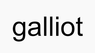 How to pronounce galliot [upl. by Innoc]