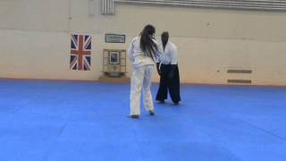 Eddie McCalla Sensei 6th dan so hombu  Aikido Demonstration UKA Summer School 2012 [upl. by Base]