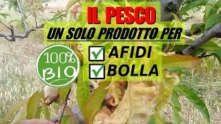 AFIDI E BOLLA DEL PESCO UNICO PRODOTTO PER DUE PROBLEMI [upl. by Anikas]