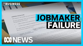 JobMaker fails to create jobs for under 30s  The Business  ABC News [upl. by Tlaw]