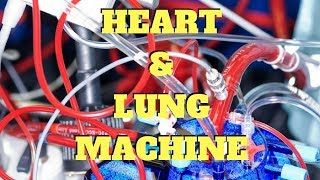 UNDERSTANDING THE HEART LUNG MACHINE [upl. by Eilsehc]