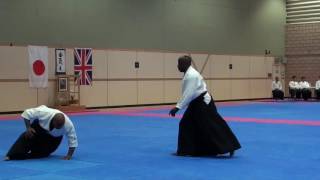 UKA 30th Anniversary Aikido Demonstration by the Kensankai [upl. by Dean507]