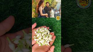 millionviews shortfeed flowers movieclip mallepoolu maheshbabu keertisuresh [upl. by Odin]