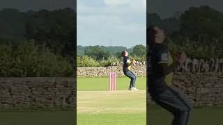 CRICKETS A STUPID GAME cricket cricketlover villagecricket cricketnews t20 crickethighlights [upl. by Anavlys725]