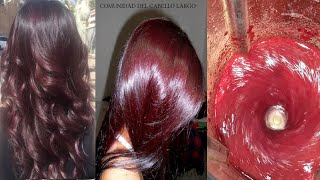 Tinte casero para que tu cabello se vuelva ROJO BORGOÑA Y COBRIZOS sin decolorar STOP canas 100🔴👍 [upl. by Eseilanna571]