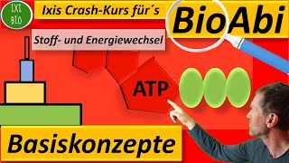 Basiskonzepte der Biologie  eine Übersicht  15 Punkte im Biologie Abitur  so geht´s [upl. by Wollis]