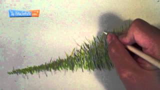 How to Draw Grass  Colored Pencils [upl. by Eiluj]