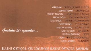 Mavi Sakal  Olmalı mı Olmamalı mı  Bülent Ortaçgil Tribute Official audio adamüzik [upl. by Nnylyaj70]