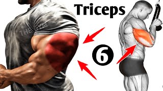 Best 6 Triceps Workout At Gym [upl. by Rtoip204]