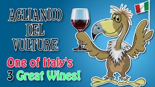 Time to Taste one of Italys Top 3 Wines  Aglianico Del Vulture [upl. by Pegasus]