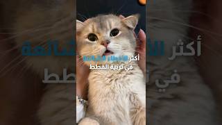 أكثر الأخطاء الشائعة في تربية القطط 🐈🐈‍⬛ [upl. by Akienaj287]