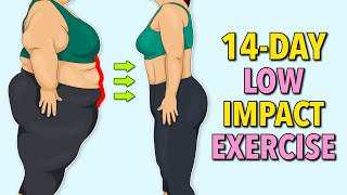 14Day Low Impact Standing Exercise – Lose Belly Fat Without Jumping [upl. by Monetta]