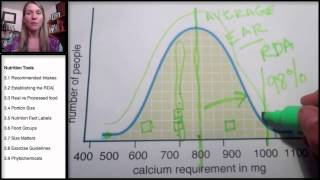 32 Nutrition Tools Establishing Nutrient Intakes [upl. by Akcirderf561]