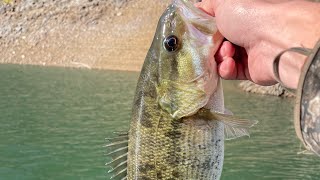 Fall Shasta Lake Fishing [upl. by Rory]