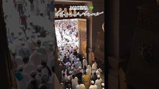 madina💚shorts urdu  lyrics islamic video youtubeshorts [upl. by Yztim]