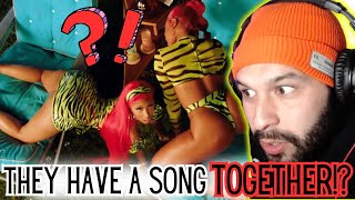 MEGAN AND NICKI HAVE A COLLAB 😱 quotHot Girl Summerquot Megan Thee Stallion x Nicki Minaj Reaction [upl. by Tecu]