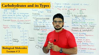 Carbohydrates  A type of biological molecule  Functions and Classification [upl. by Yhtak178]