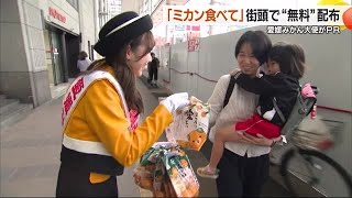 愛媛特産の温州ミカン 大使が松山で配布も…出荷量はカメムシなどで過去最低予想【愛媛】 241031 1910 [upl. by Vani785]